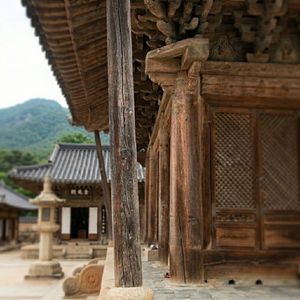 사찰 방역