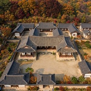 고택 방역